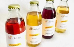 Assorted Kombucha Order Online Bangalore. Healthy Drinks Assorted Kombucha Online Delivery Bangalore Cafe Hops