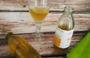 Aloe Vera Mint Kombucha Order Online Bangalore. Artisanal Kombucha Online Delivery Bangalore Cafe Hops